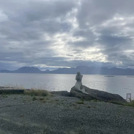Arctic Dream Apartment In Tromso Lägenhet